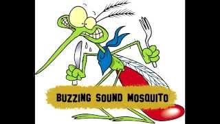 Mosquito fly (sound)