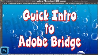 Quick Bridge Version