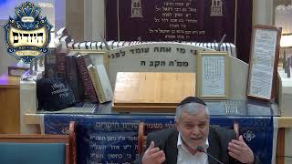 בית הכנסת יזדים • יום ראשון יד' שבט תשפ'ו (בית הכנסת מוסאיוף) - התמונה מוצגת ישירות מתוך אתר האינטרנט יוטיוב. זכויות היוצרים בתמונה שייכות ליוצרה. קישור קרדיט למקור התוכן נמצא בתוך דף הסרטון