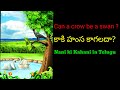 Can A Crow Be A Swan కాకి హంస కాగలదా Nani Ki Kahani In Telugu Nani Ki Kaha