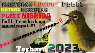 Download lagu Materi sogon 2023!!Materi pleci NISHIDA,bren ciblek.cepat Diserap burung,gampang masuk. mp3