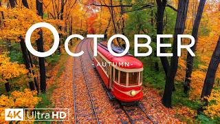 October's Autumn Glow 🍁 | 4K Vibrant Foliage & Open Vistas | Dreamlike Piano for Gentle Relaxation