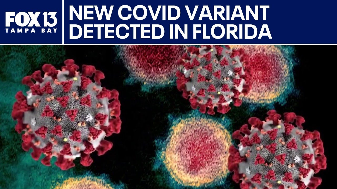New COVID variant detected in Florida