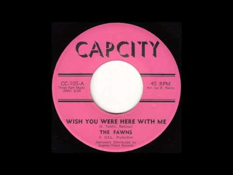 The Fawns - Wish You Were Here With Me