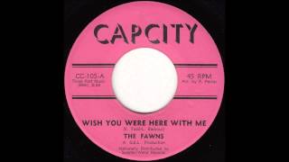 The Fawns - Wish You Were Here With Me