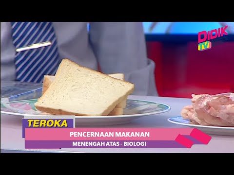 Teroka (2021) | Menengah Atas: Biologi - Pencernaan Makanan