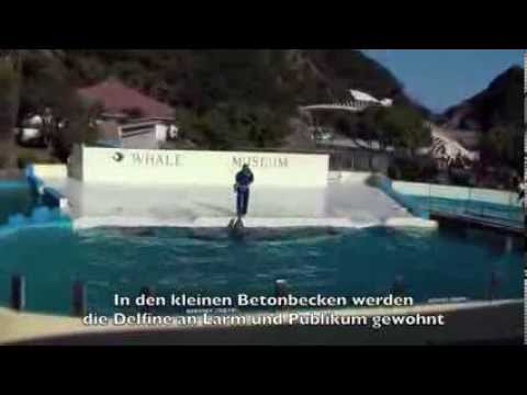 Wale und Delfine / Tierquälerei in Japan - Taiji Whale Museum