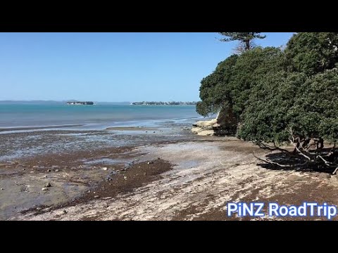 Howick Beach  |  World War 2 Gun Emplacement |  Spring 2020 | Auckland New Zealand RoadTrip
