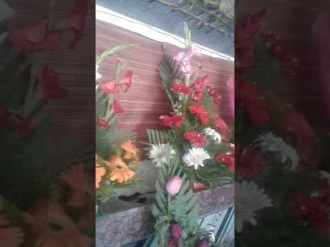 Srijan flowers raipur