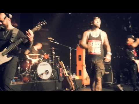 더 스타킬러즈 The StarKillers (해리빅버튼 2집 발매 공연)