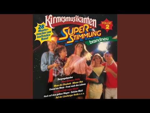 Medley 1: Polka-Potpourri - Walzer-Potpourri - Foxtrott-Potpourri - Marsch-Potpourri -...