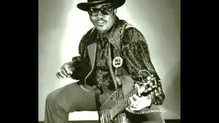 BO DIDDLEY - I Don't Like You
