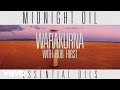 Midnight Oil - Warakurna (Track by Track) 