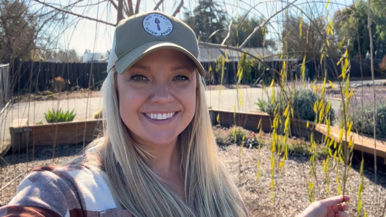 ROCK SHOPPING! Plus Pruning the Apricot and Willow Tree!