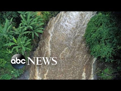 download lagu mp3 mp4 Hurricane Lane Deaths, download lagu Hurricane Lane Deaths gratis, unduh video klip Hurricane Lane Deaths