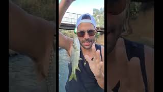 פתחתי עונה בירדן עם דג ראשון לעונת הזירזור בירדן 💪🤩 #דייג