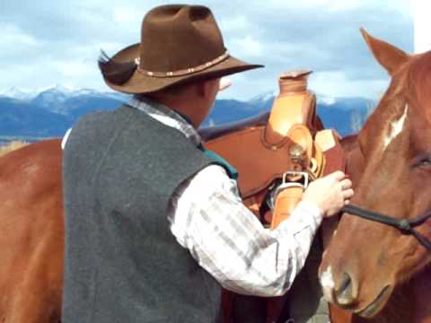 Placement of a Flex Panel Saddle on Your Horse's Back