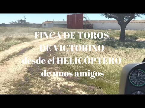 ¡DESDE UN HELICÓPTERO! 🚁🚁🚁 Descubre nuestra FINCA DE TOROS de VICTORINO