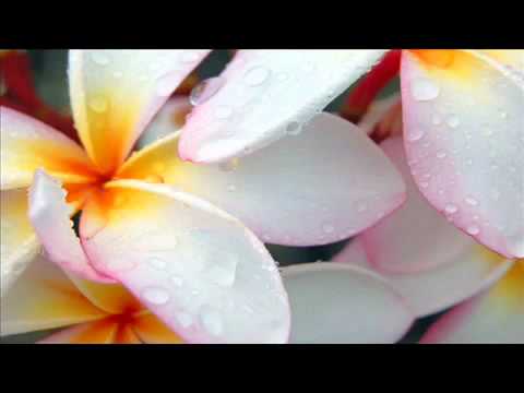 Sindre Eide - Piovere