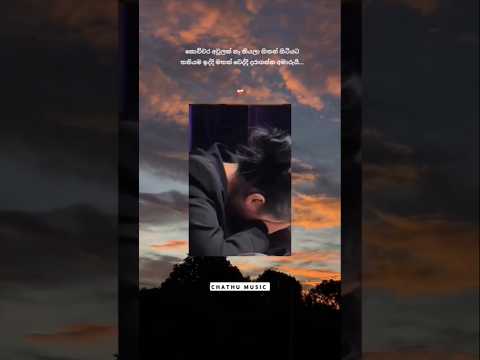 C H A T H U   M U S I C  🦋' #short #love #music #vadan #status #song #feeling #viralvideos