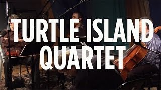 Turtle Island Quartet 