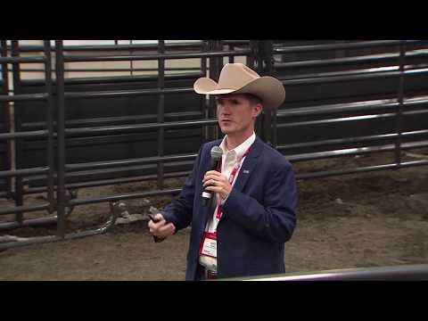 2018 Angus Convention - Angus University:  Foot Scoring