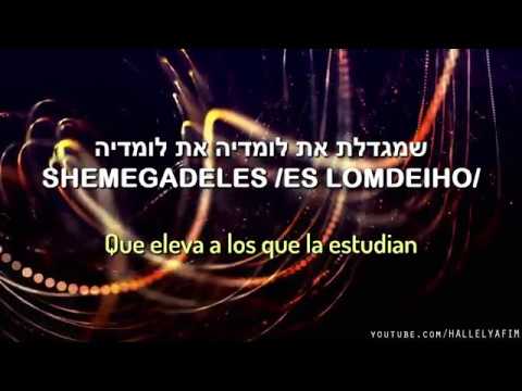 Gedolah Torah | גדולה גדולה - Gran Toráh | Canta: Shimmy Engel - שמעי ענגעל