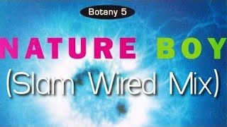 Botany 5 - Nature Boy (Slam Wired Mix) 1991