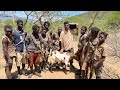 Cooking Goat In The Forest With Hadzabe People Of Tanzania In Africa
