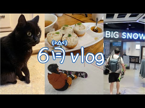 美国终于有正宗的生煎了！！！｜big snow室内滑雪场又开放啦｜叔叔的单板初体验｜姐姐小小瘸了一下｜叔叔霸屏的一期vlog