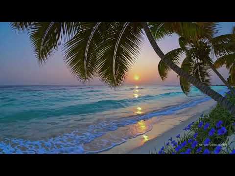 Mindfulness 🌅 Oahu Hawaii Vibe Sunset Ocean Sounds | Sleep • Study • Focus | 12h 4K 🌴