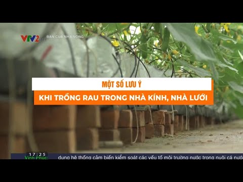 , title : 'Một số lưu ý khi trồng rau trong nhà kính, nhà lưới'