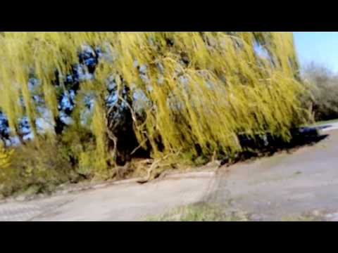 Verlassene Gebäude Teil 1   13 04 2017