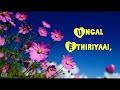 July Malargale Love Status Video