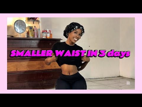Smaller Waist in 3 Days | ab workout No Jumping Belly Fat & Love Handles | at home no equipment 