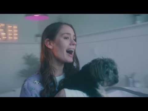 Anna Of The North Used To Be