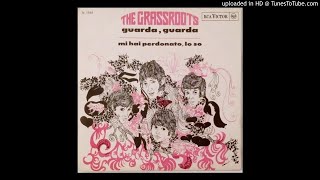 THE GRASSROOTS - GUARDA GUARDA 1967