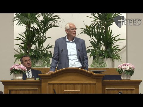 Viorel Iuga - Cum ne împlinim dorințele?