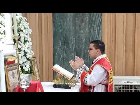 † São Cornélio, Papa e Mártir, e São Cipriano, Bispo e Mártir, 19h – 16/09/2026