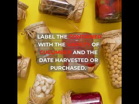 Cleaning and Preparing Cucumber Seeds for Storage