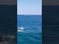 Jet Ski Explosion But Lego