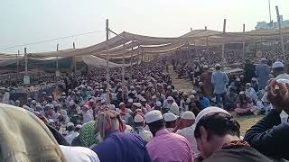 চরমোনাই মাহফিলের আখেরি মোনাজাত। আল্লাহ কবুল করুন আমীন 🤲