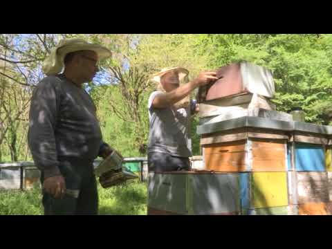 Boja meda ep. 9 08.05.2018. NAJAVA