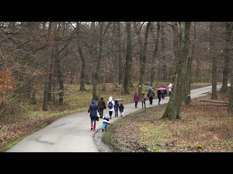 M5 csatorna - A Soproni Parkerdő nyüzsgő mindennapjai – 2020/7. adás – 2020.03.14.