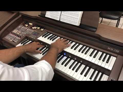 Órgão Eletrônico Tokai Md 750 - Loja Teclasom