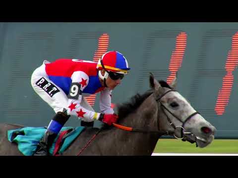 220403 c06 A Vargas Guillemete/ BLANCO PILLO