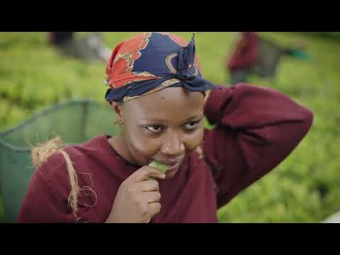 AfriKaanShabba - Love Song - Official Music Video (Huba Island Riddim)