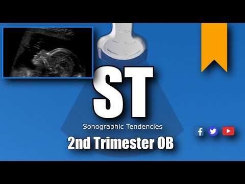 2nd Trimester OB scan