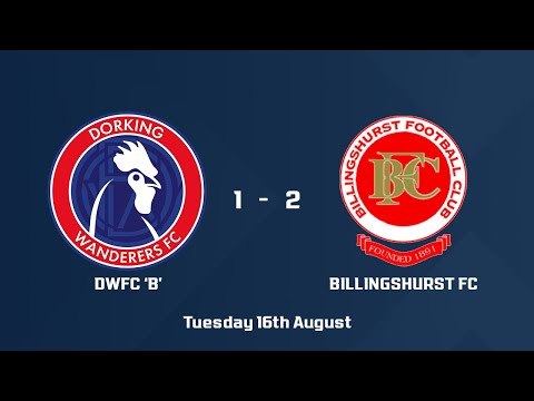 HIGHLIGHTS | DWFC 'B' v Billingshurst FC