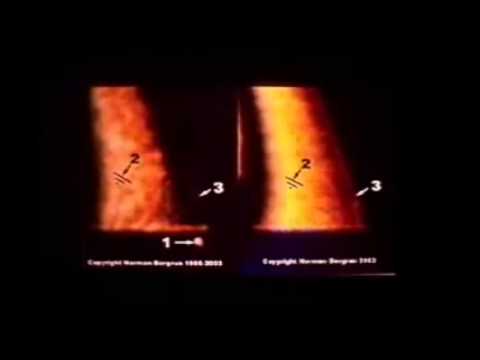 Norman Bergrun   The Ringmakers Of Saturn